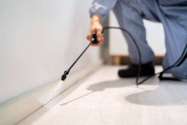 Bed Bug Pre-Treatment Preparation Assessment in Silver Bay