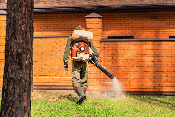 Bed Bug Clearance Verification and Documentation in Silver Bay